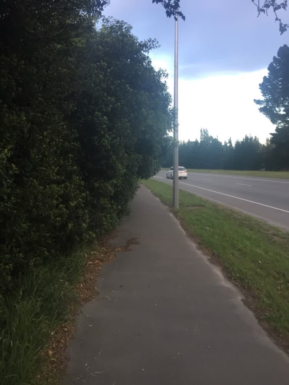 The photograph attached to this parks report