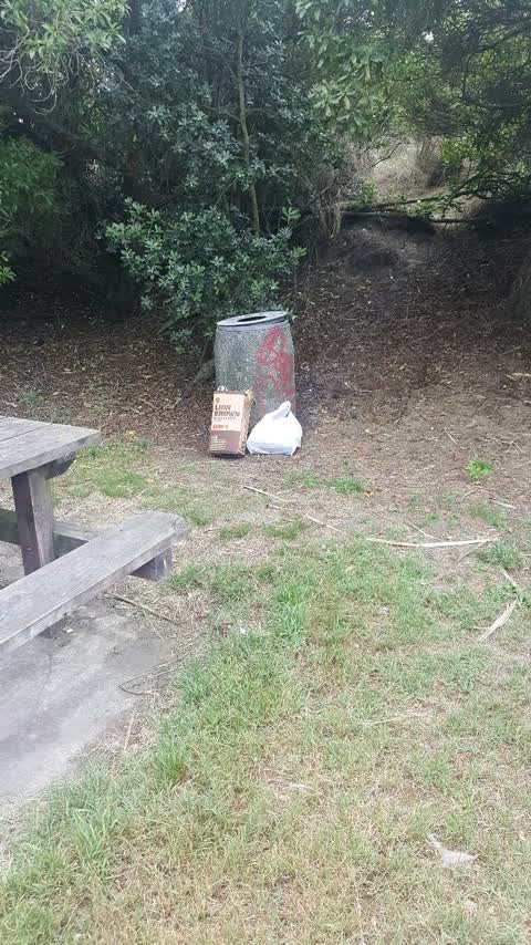 Rubbish/Recycling — a report photo