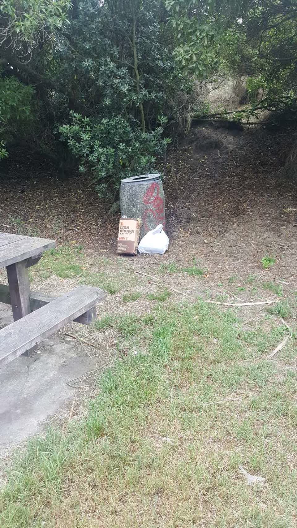 The photograph attached to this rubbish/recycling report