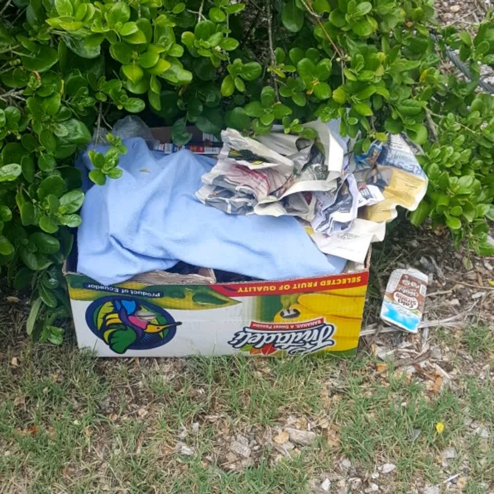The photograph attached to this rubbish/recycling report