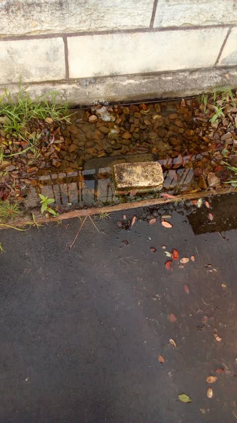 Wastewater/Stormwater, a report photo