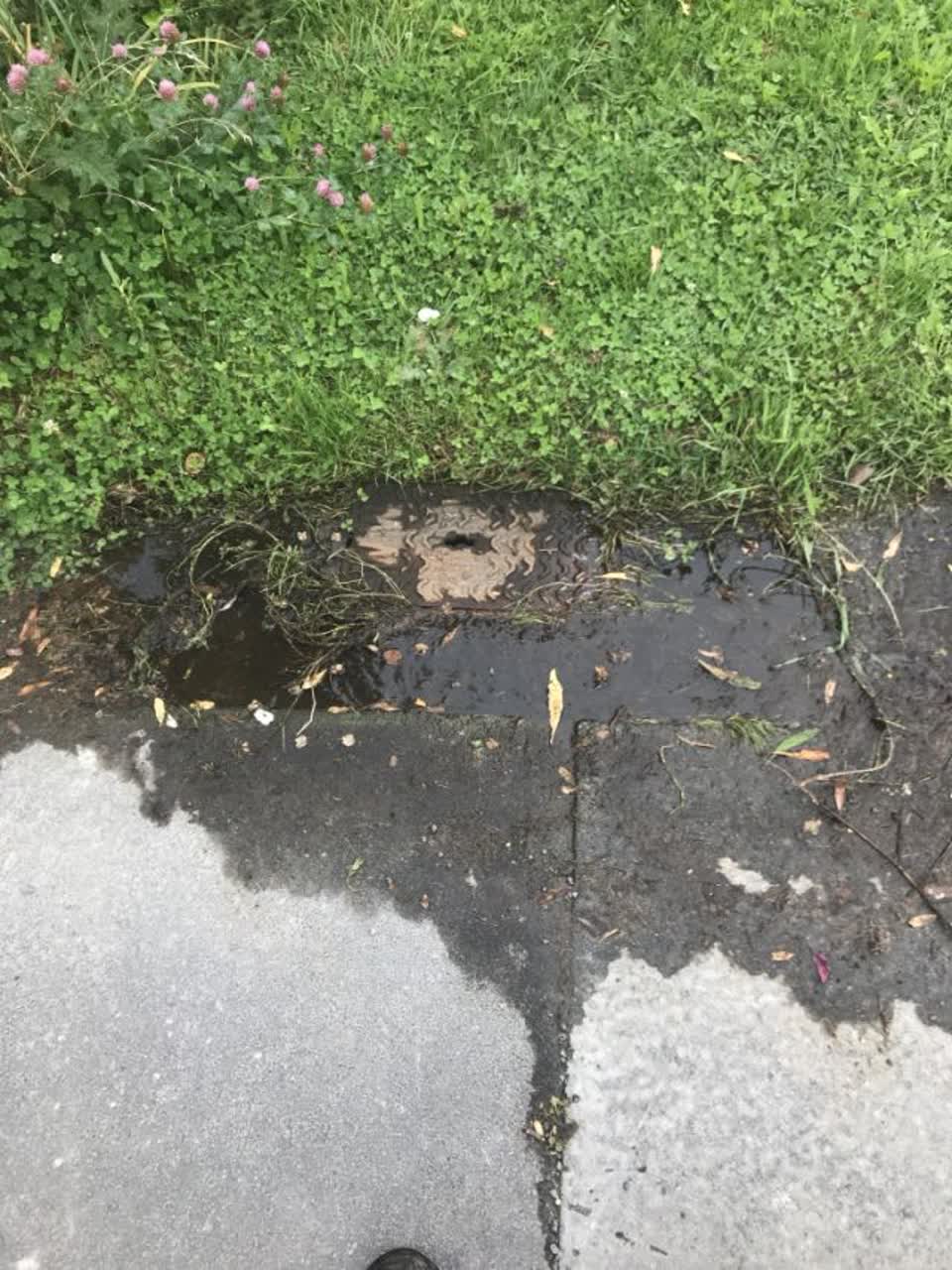 The photograph attached to this water supply report