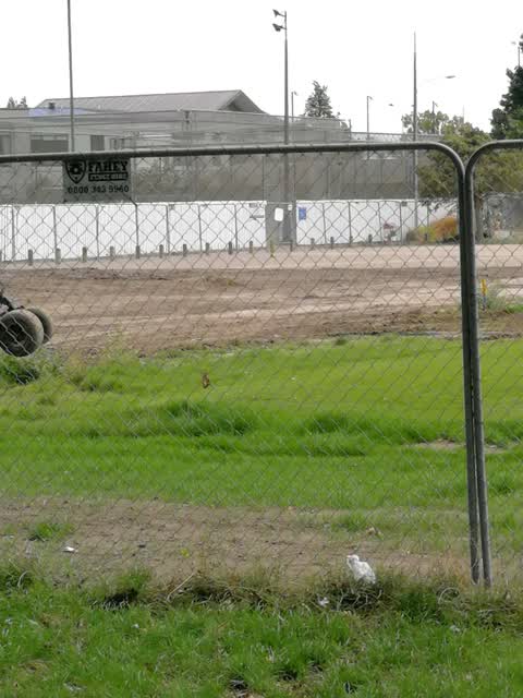 Parks, a report photo