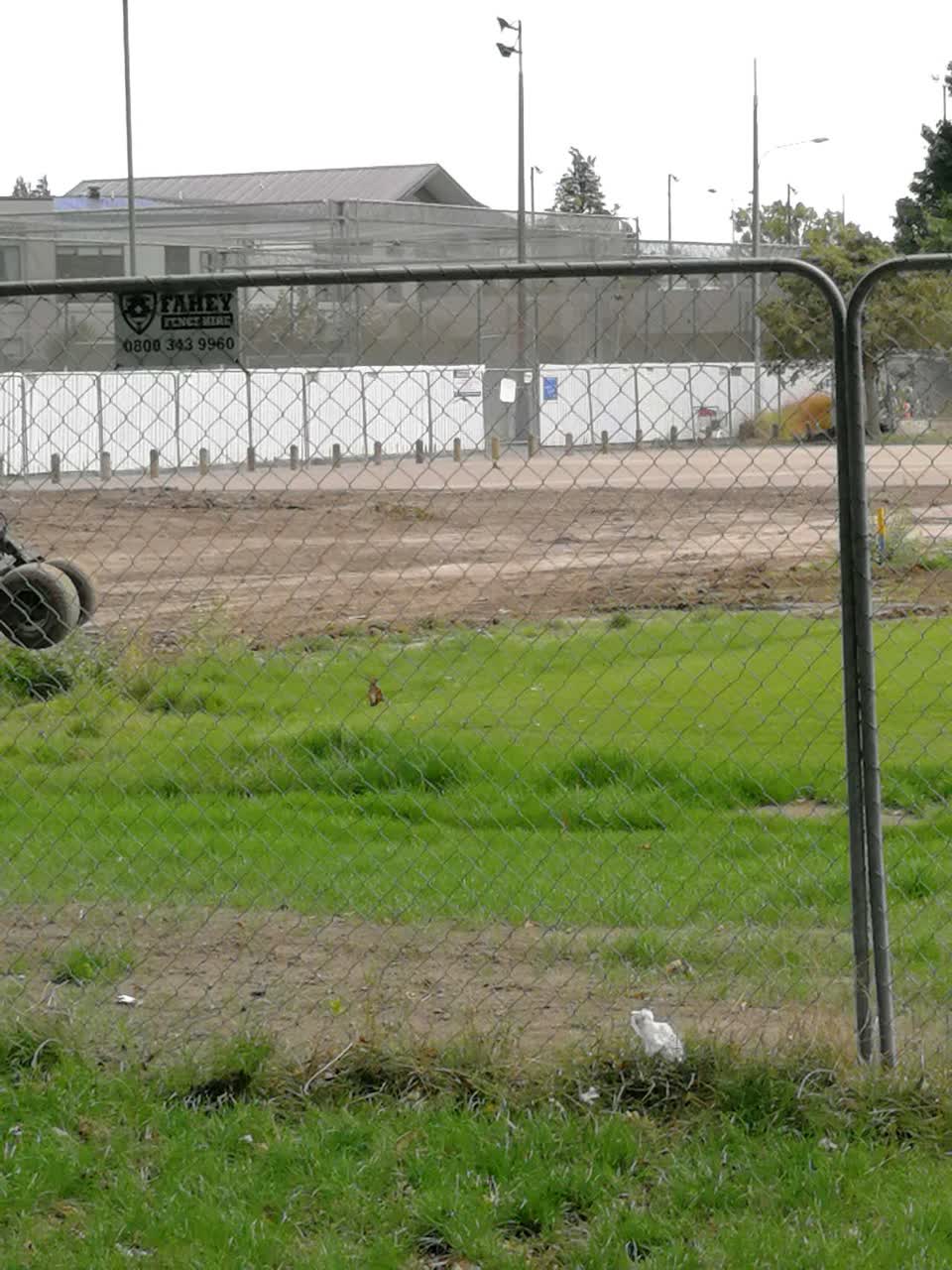 The photograph attached to this parks report