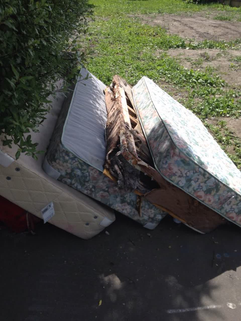 The photograph attached to this rubbish/recycling report