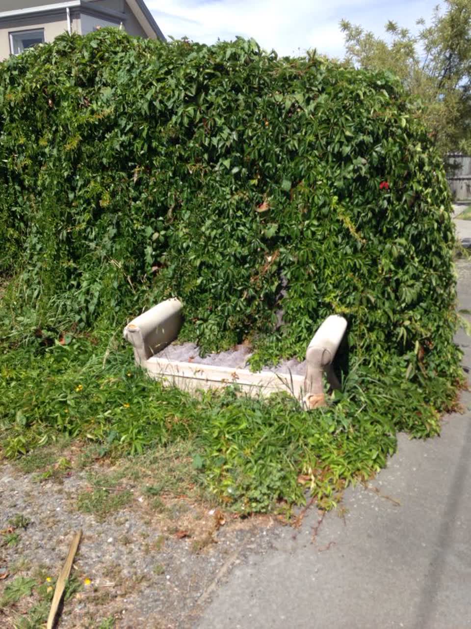 The photograph attached to this rubbish/recycling report
