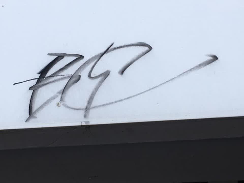 The photograph attached to this graffiti report