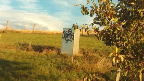 Graffiti, a report photo