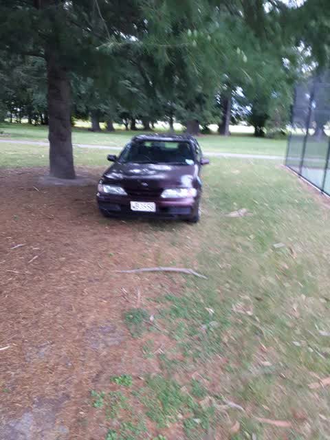 Parks, a report photo