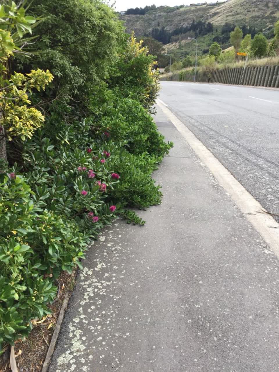 The photograph attached to this roading/streets report