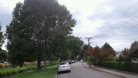 Parks, a report photo