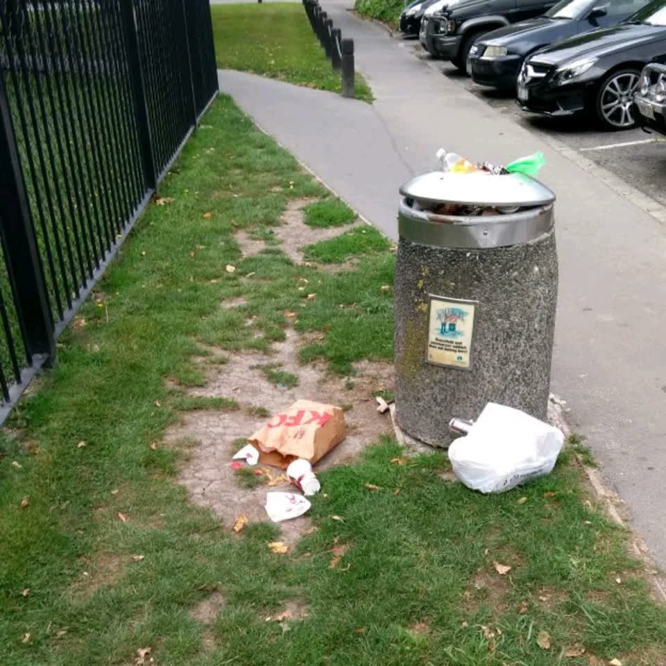 The photograph attached to this rubbish/recycling report