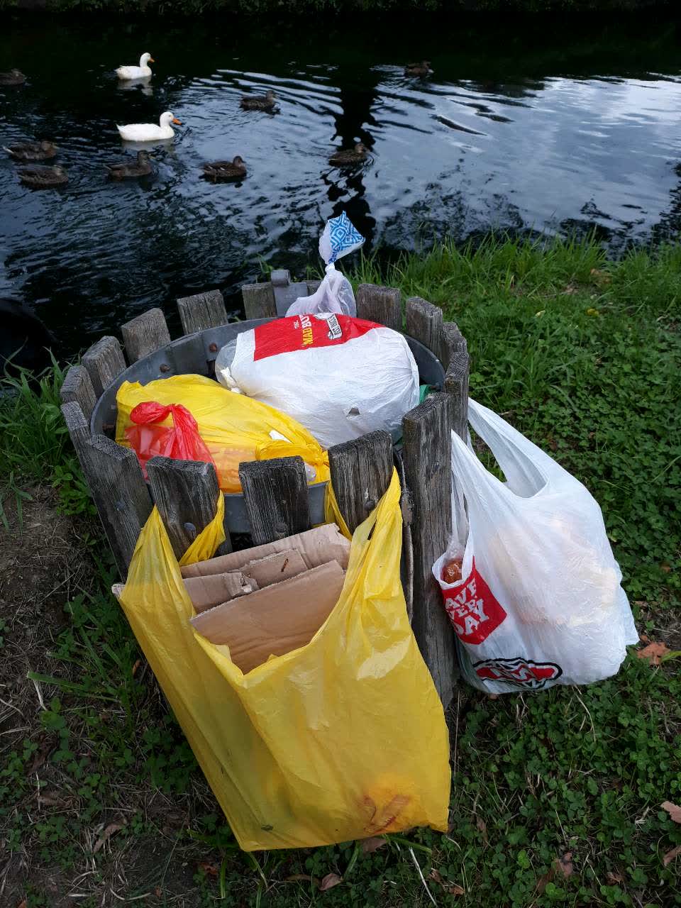 The photograph attached to this rubbish/recycling report