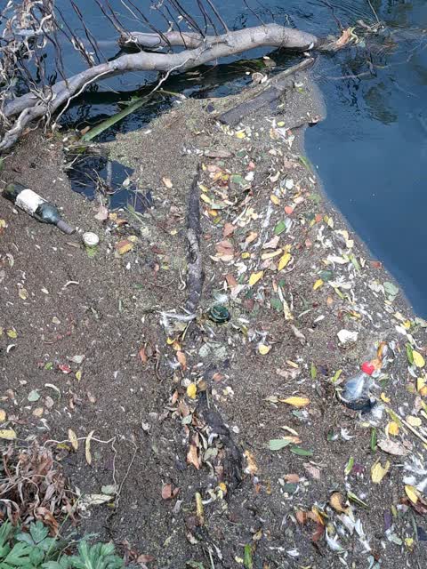 Rubbish/Recycling, a report photo