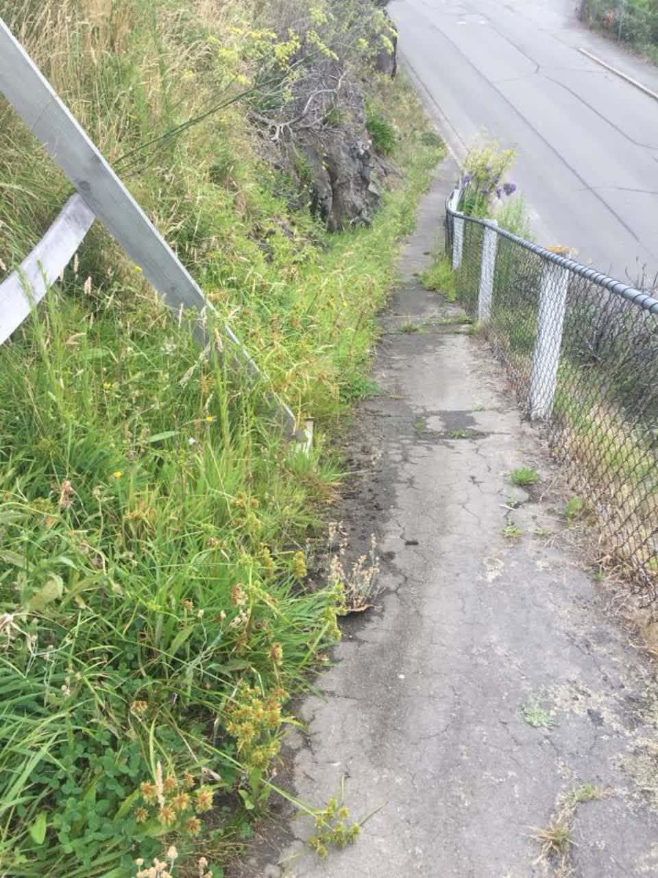 The photograph attached to this roading/streets report