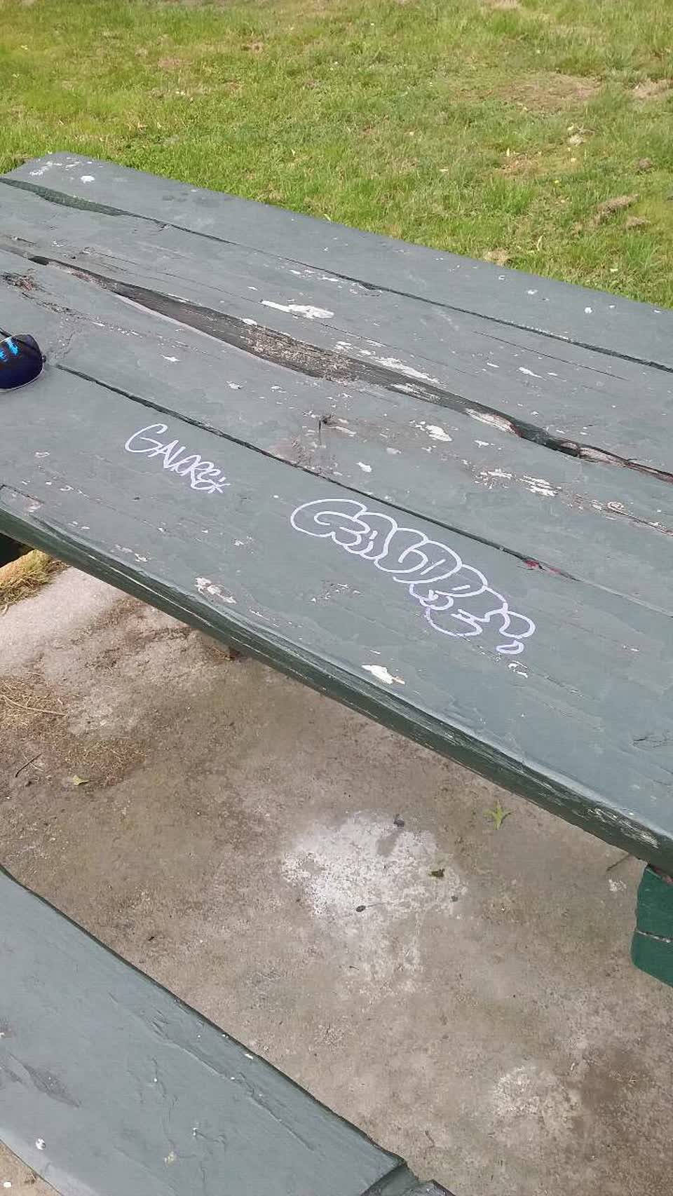 The photograph attached to this graffiti report