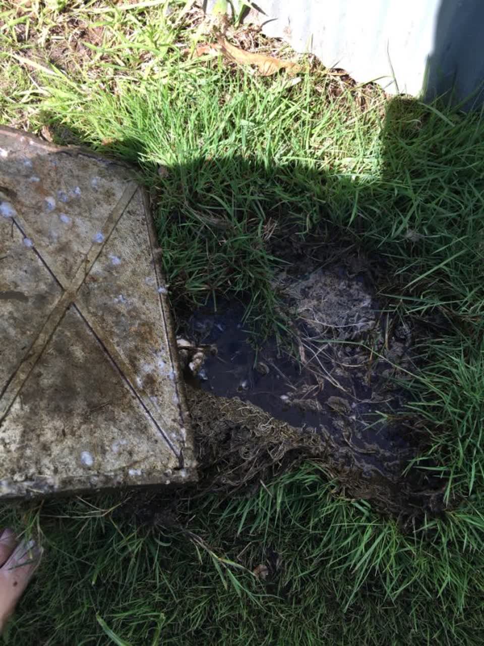 The photograph attached to this water supply report