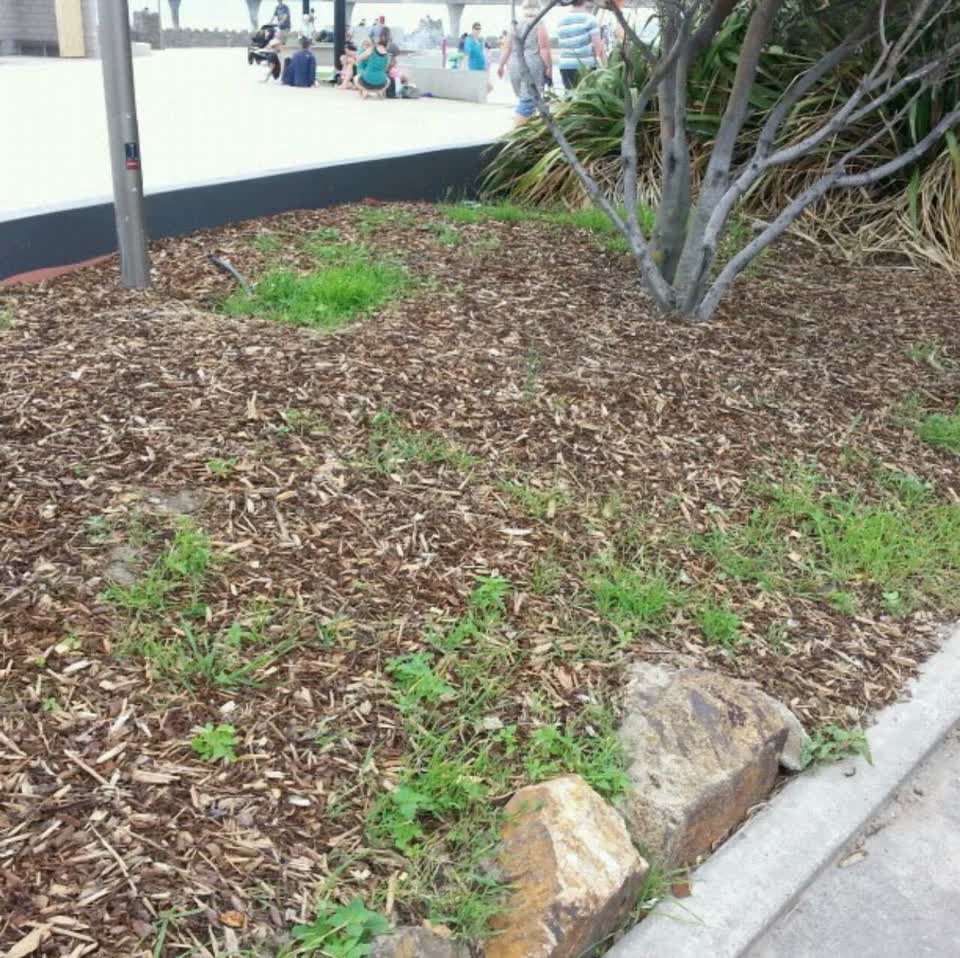 The photograph attached to this parks report