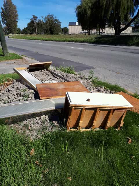 Rubbish/Recycling, a report photo