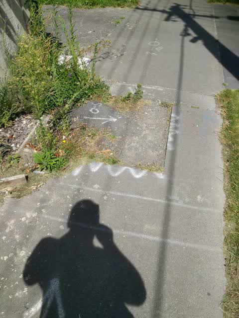 Roading/Streets, a report photo