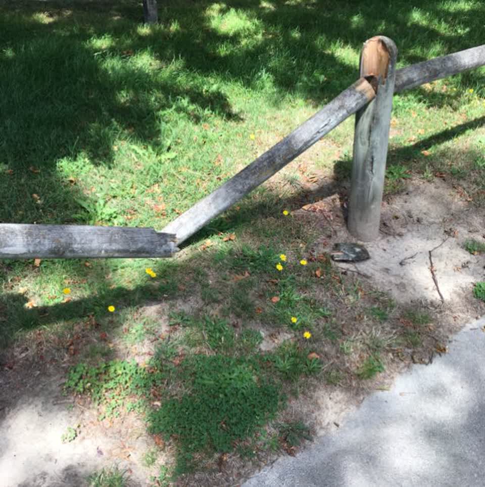 The photograph attached to this parks report