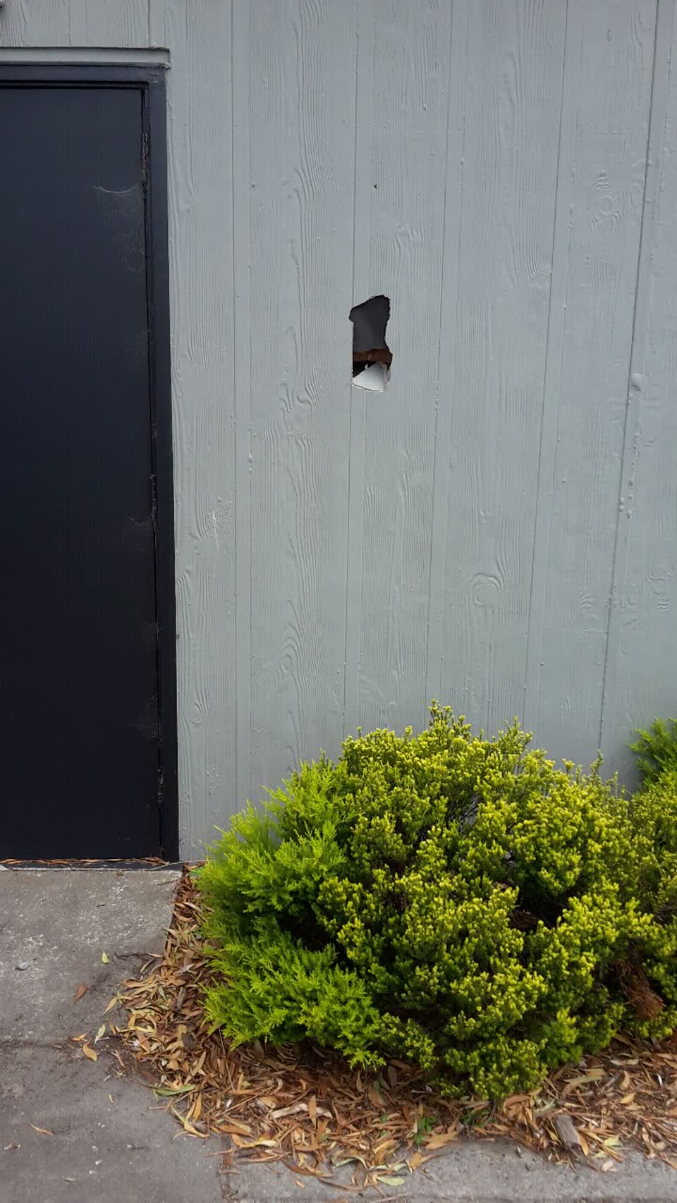 The photograph attached to this parks report