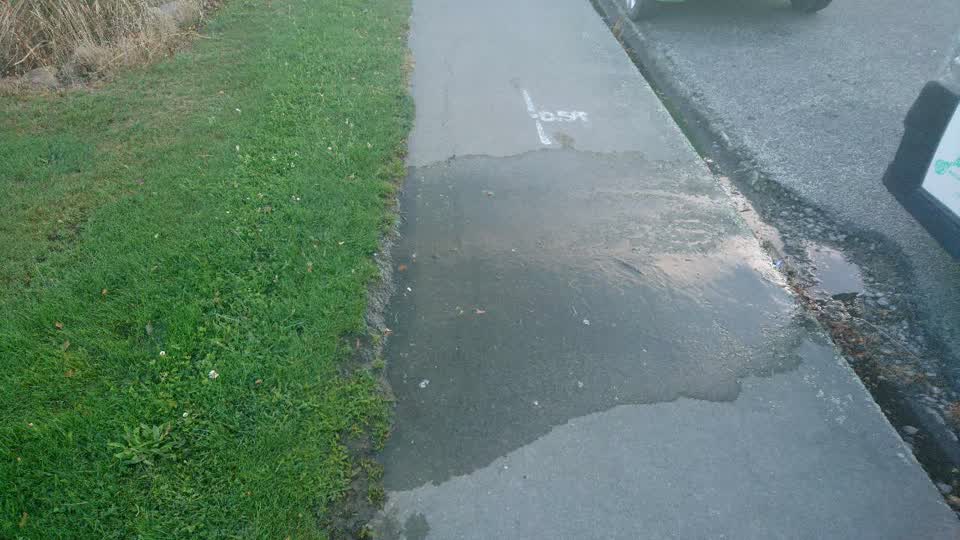 The photograph attached to this water supply report