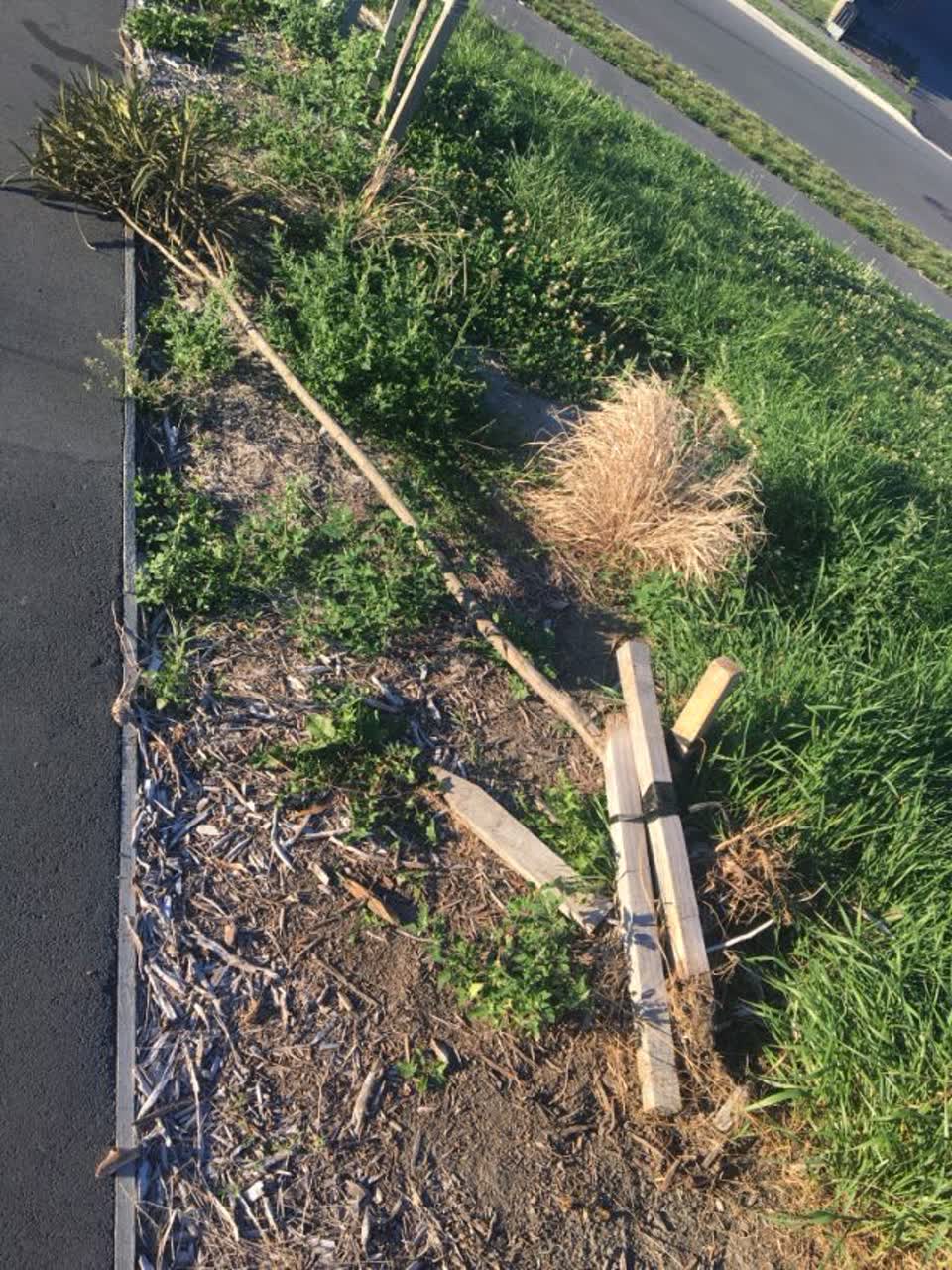 The photograph attached to this parks report