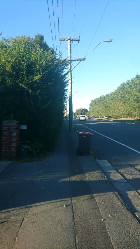Roading/Streets, a report photo