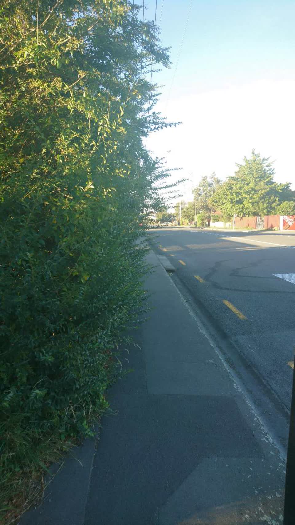 The photograph attached to this roading/streets report