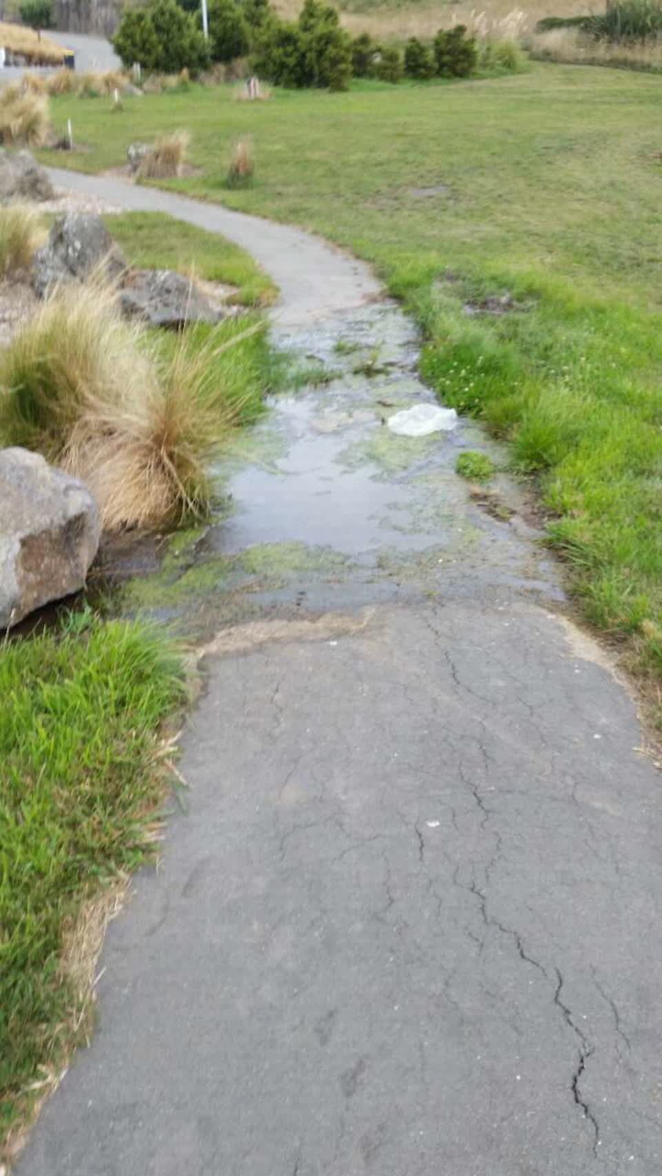 The photograph attached to this water supply report