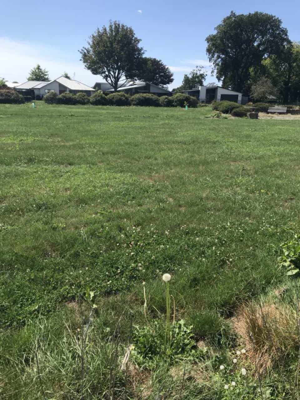 The photograph attached to this parks report