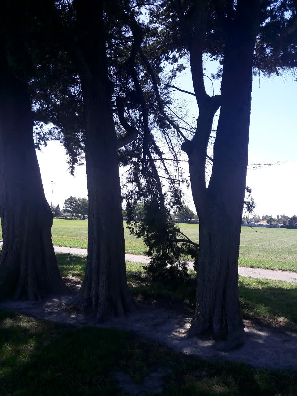 The photograph attached to this parks report