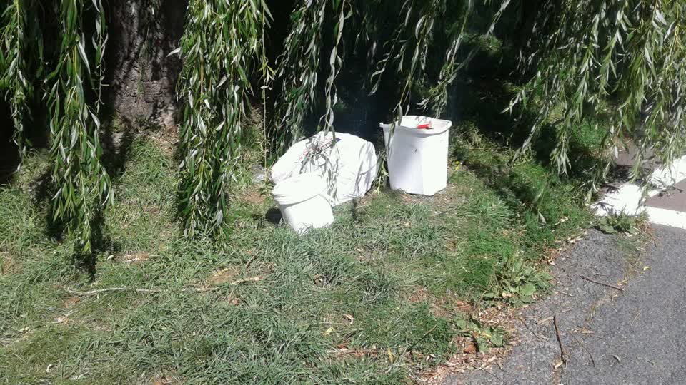 The photograph attached to this rubbish/recycling report
