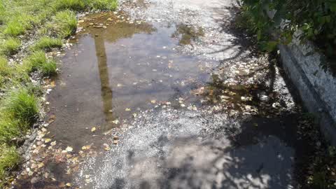Water Supply, a report photo