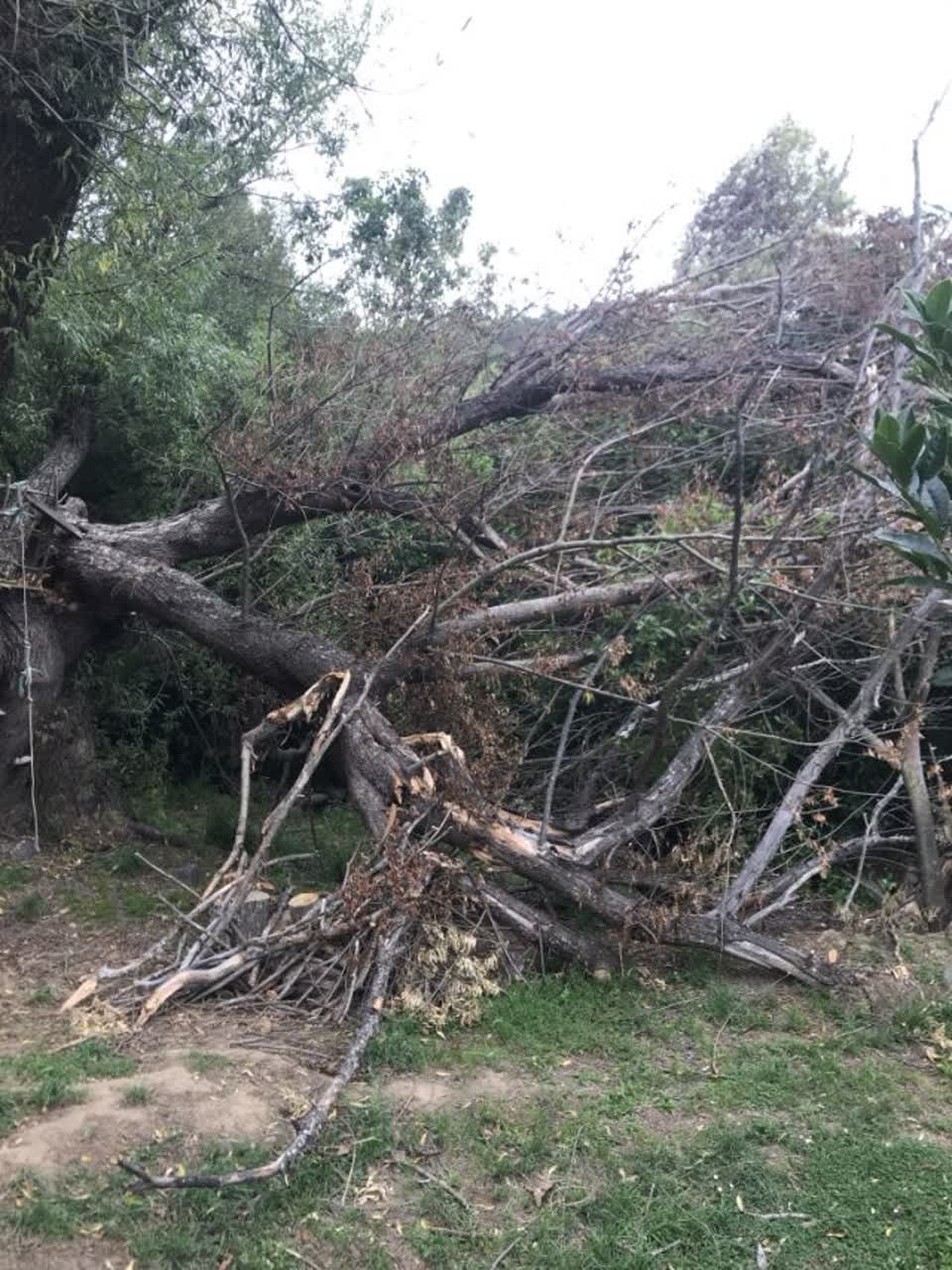 The photograph attached to this parks report