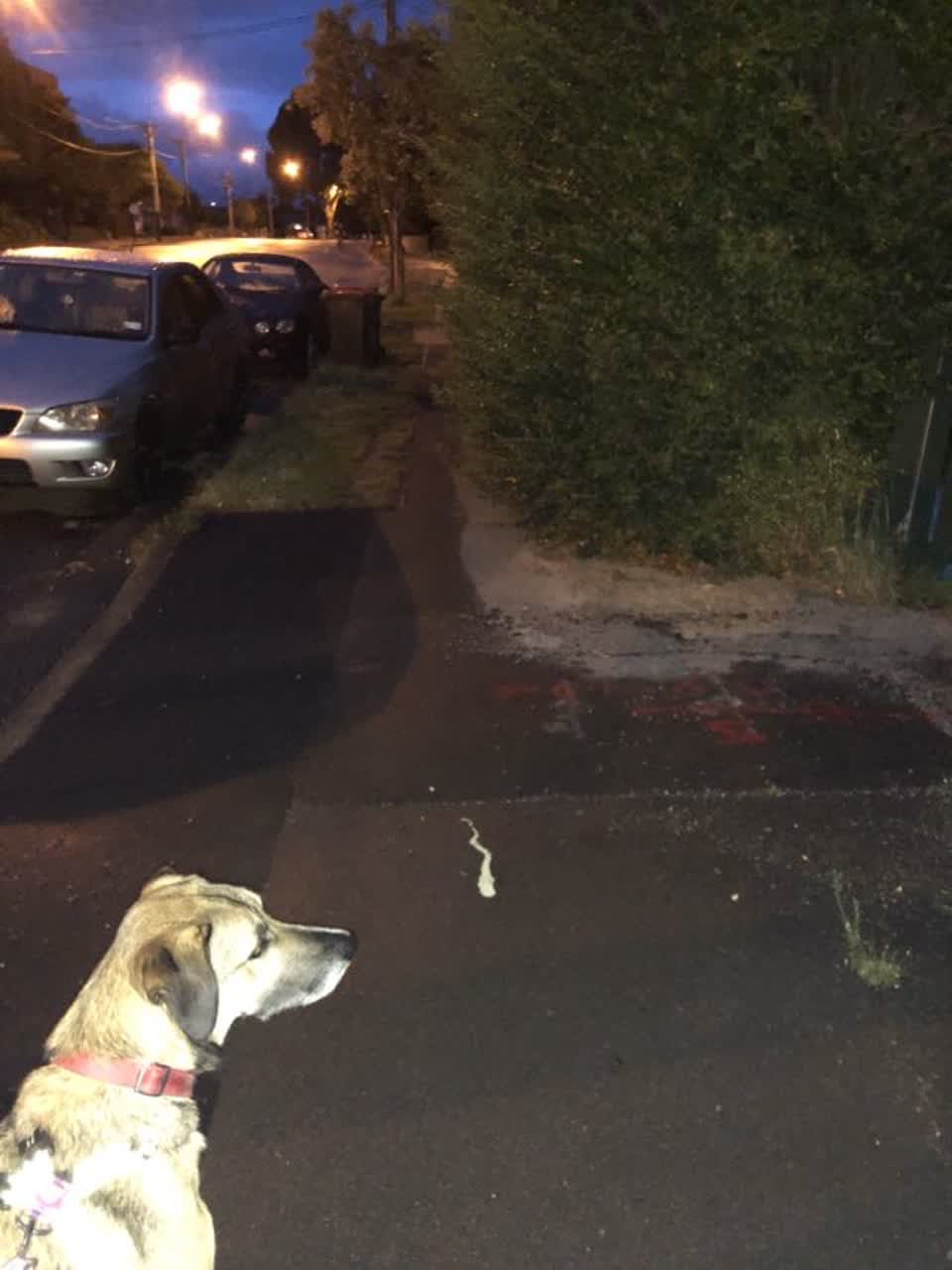 The photograph attached to this roading/streets report