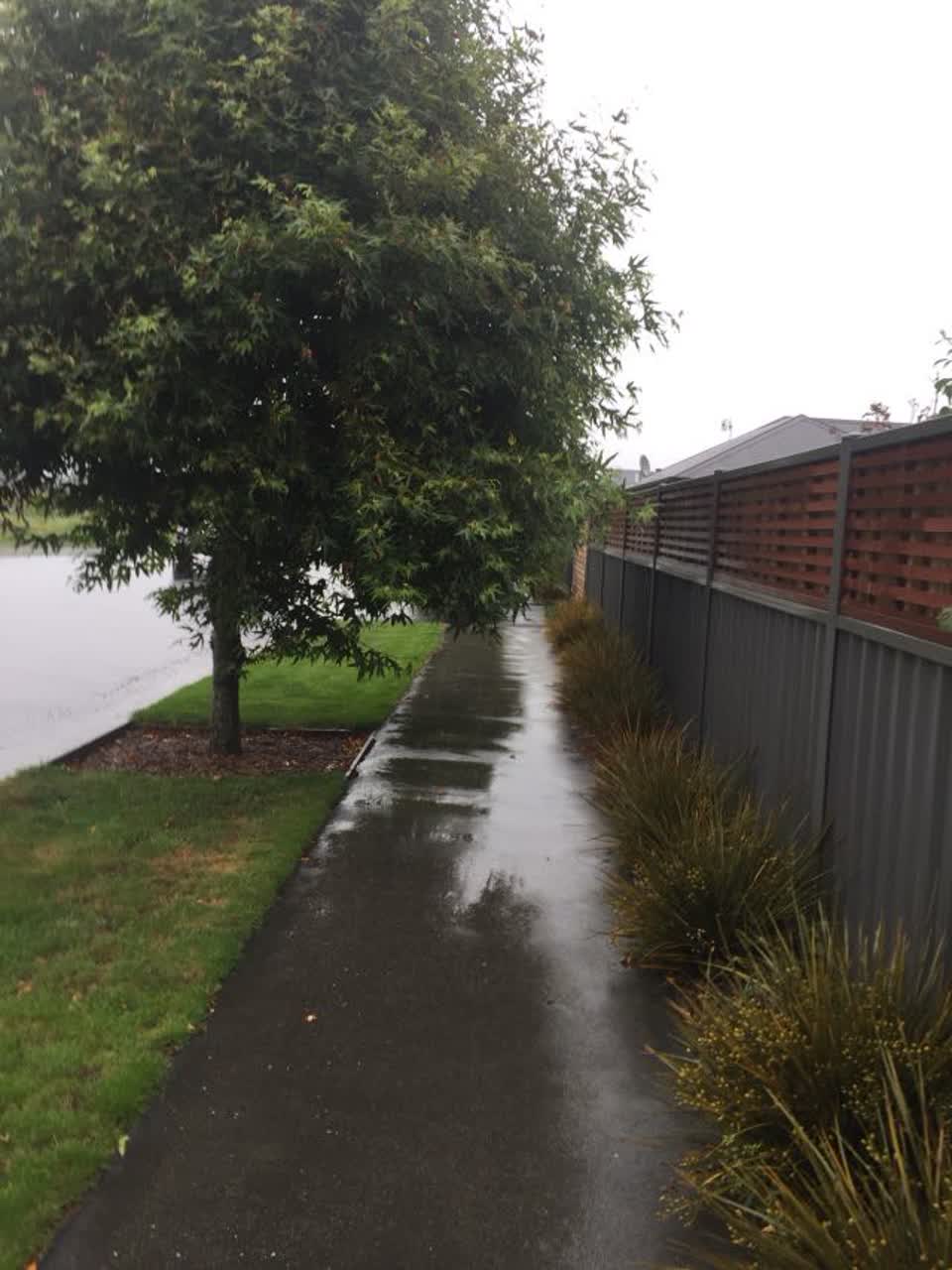 The photograph attached to this parks report