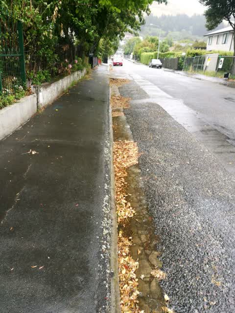 Wastewater/Stormwater — a report photo