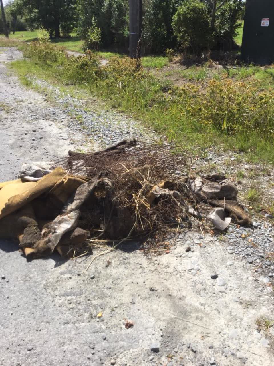 The photograph attached to this rubbish/recycling report