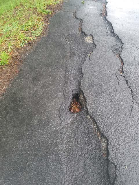 Roading/Streets, a report photo