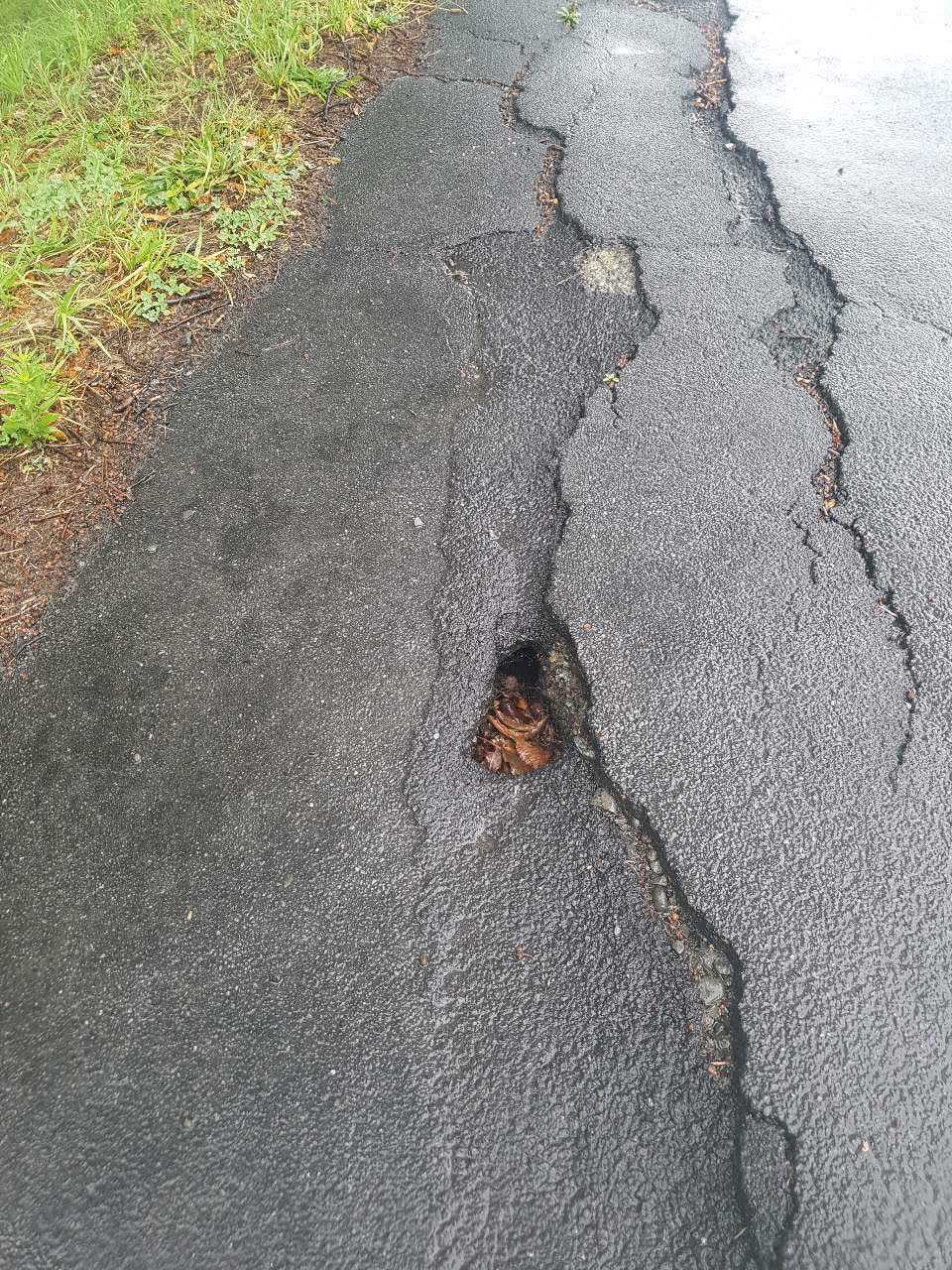 The photograph attached to this roading/streets report
