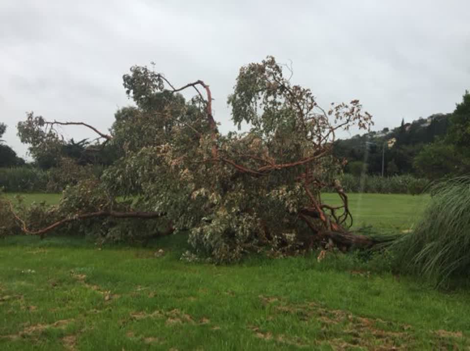 The photograph attached to this parks report