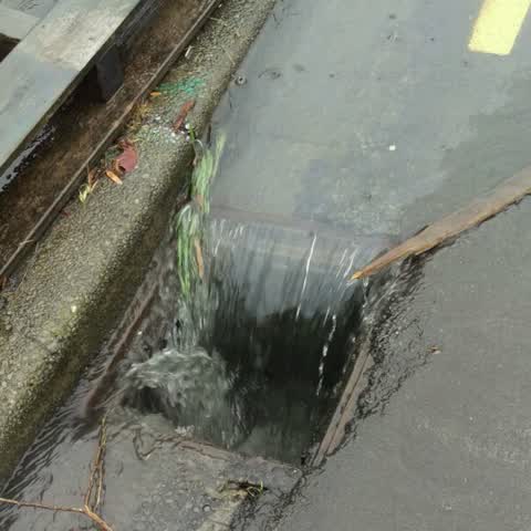 Wastewater/Stormwater, a report photo