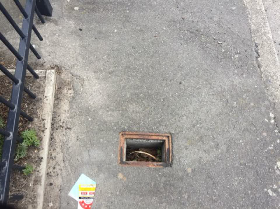 The photograph attached to this roading/streets report