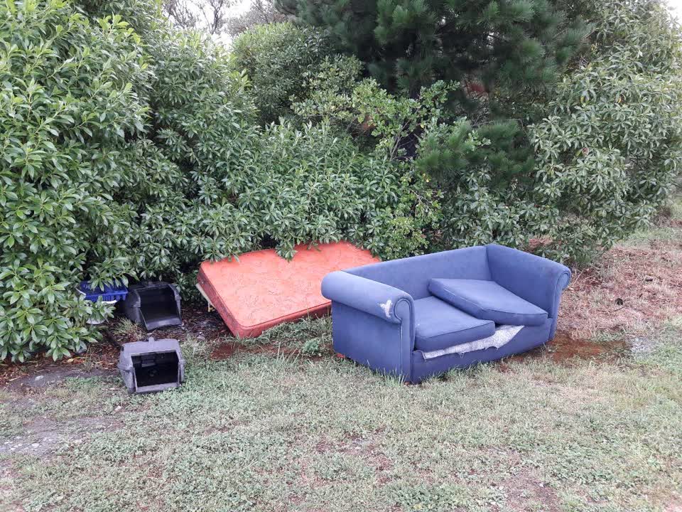 The photograph attached to this parks report