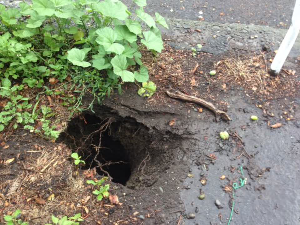 The photograph attached to this roading/streets report