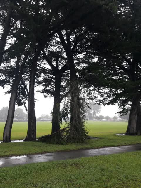 Parks, a report photo