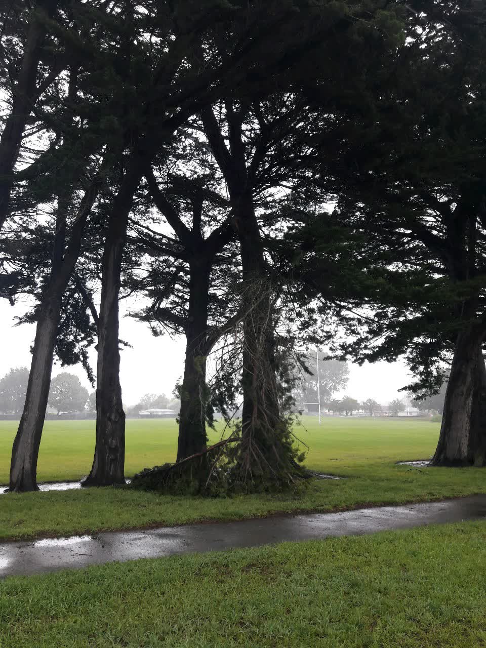 The photograph attached to this parks report