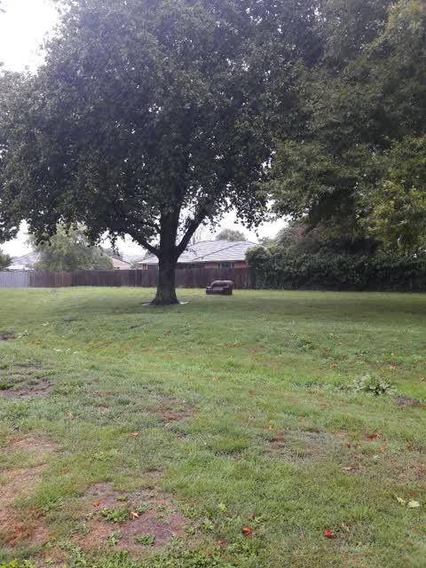 Parks, a report photo